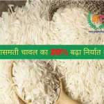गैर बासमती चावल का 20% बढ़ा निर्यात शुल्क 20% Export Tax increased on Non-Basmati Rice