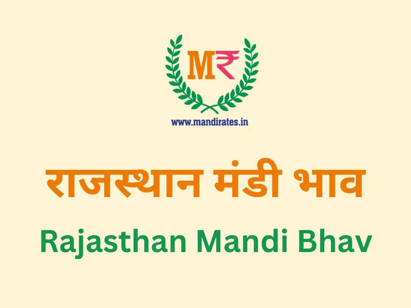 Rajasthan Mandi Bhav