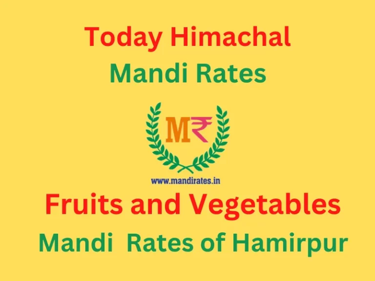 Today Himachal Mandi Rates 1