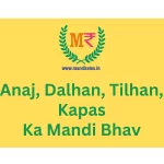 Anaj, Tilhan, Dalhan, Kapas Ka Mandi Bhav