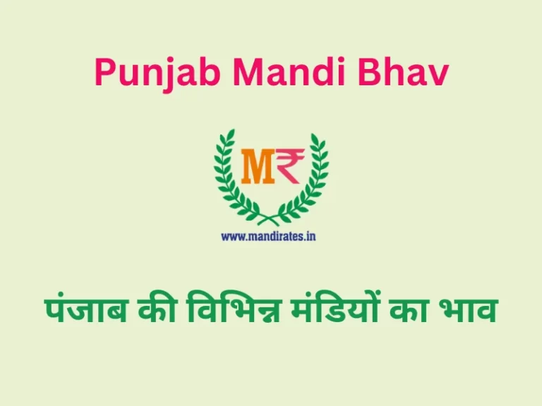 Punjab Mandi Rates