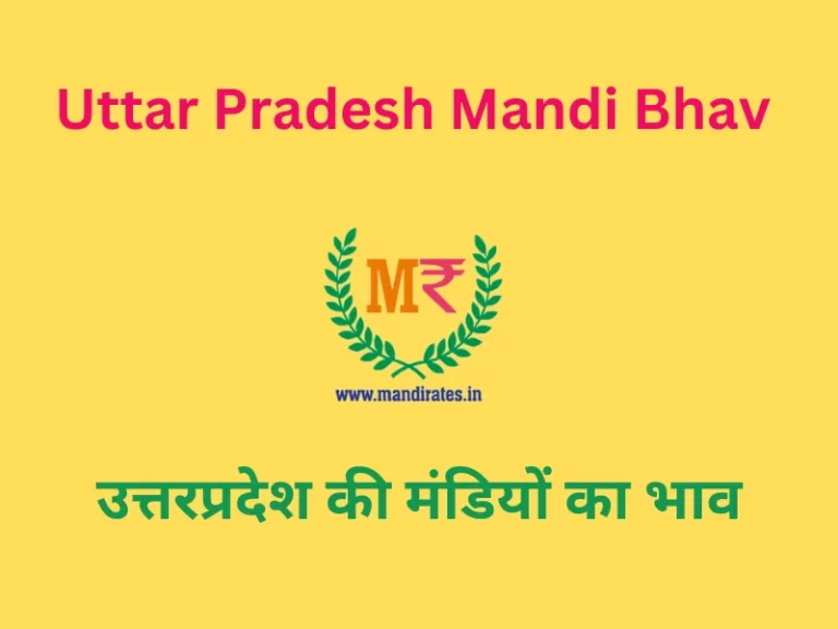 Uttar Pradesh Mandi Bhav