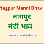 नागपुर मंडी भाव 21 अक्टूबर 2022 (Nagpur Mandi Bhav Today)
