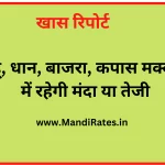 Mandi Bhav Today 22 October 2022 Dhan, Anaj, Cotton, Soyabean, Sarso Mandi Bhav Today