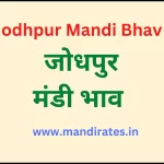 जोधपुर मंडी भाव (Jodhpur Mandi Bhav Today 01 November 2022)