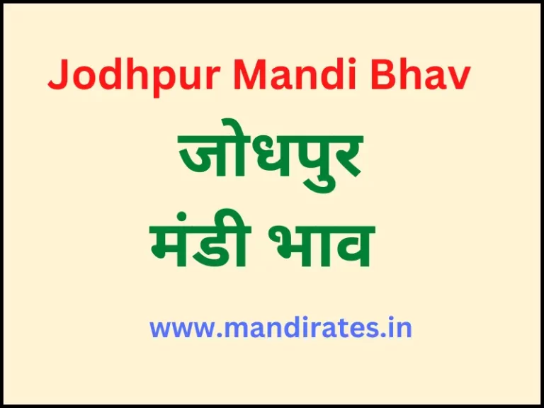 Jodhpur Mandi Bhav