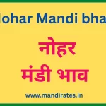 नोहर मंडी भाव 20 अक्टूबर 2022 (Nohar Mandi Bhav Today)