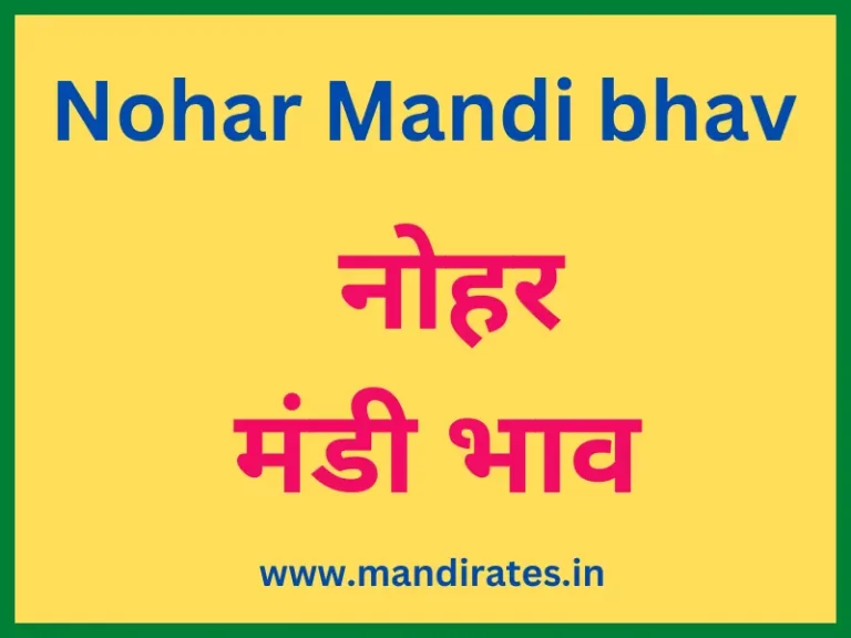 Nohar Mandi bhav