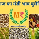 Mandi Bhav Today 15 November 2022 Dhan, Anaj, Cotton, Soyabean, Sarso Mandi Rates