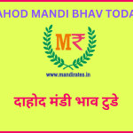 दाहोद मंडी में चना गेहूँ मक्का मंडी भाव Dahod Mandi Bhav 30 December 2022