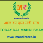 आज का साबुत मूंग मंडी भाव Moong Dal Mandi Bhav 27 December 2022