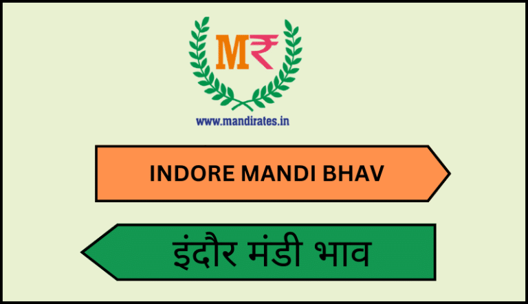 INDORE MANDI BHAV