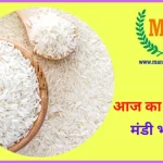 आज का चावल मंडी भाव Chawal Mandi Bhav 21 January 2023
