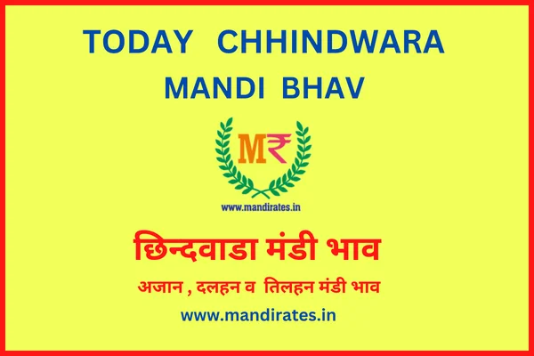 chhindwada_mandi_bhav